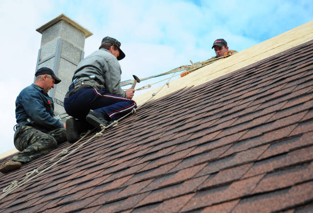 Roof Repair Estimates in Lexington, TN